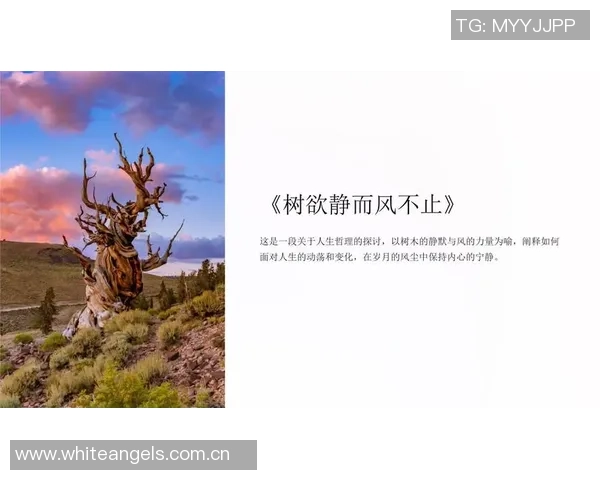 欲望无止境难以满足的生活哲学探讨与反思