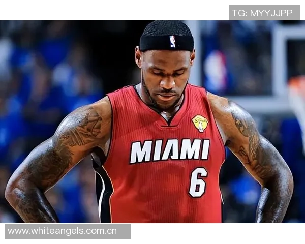 富保罗直言热火三巨头不成立波什未达特权级别引发热议